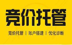 網(wǎng)站建設競價托管外包